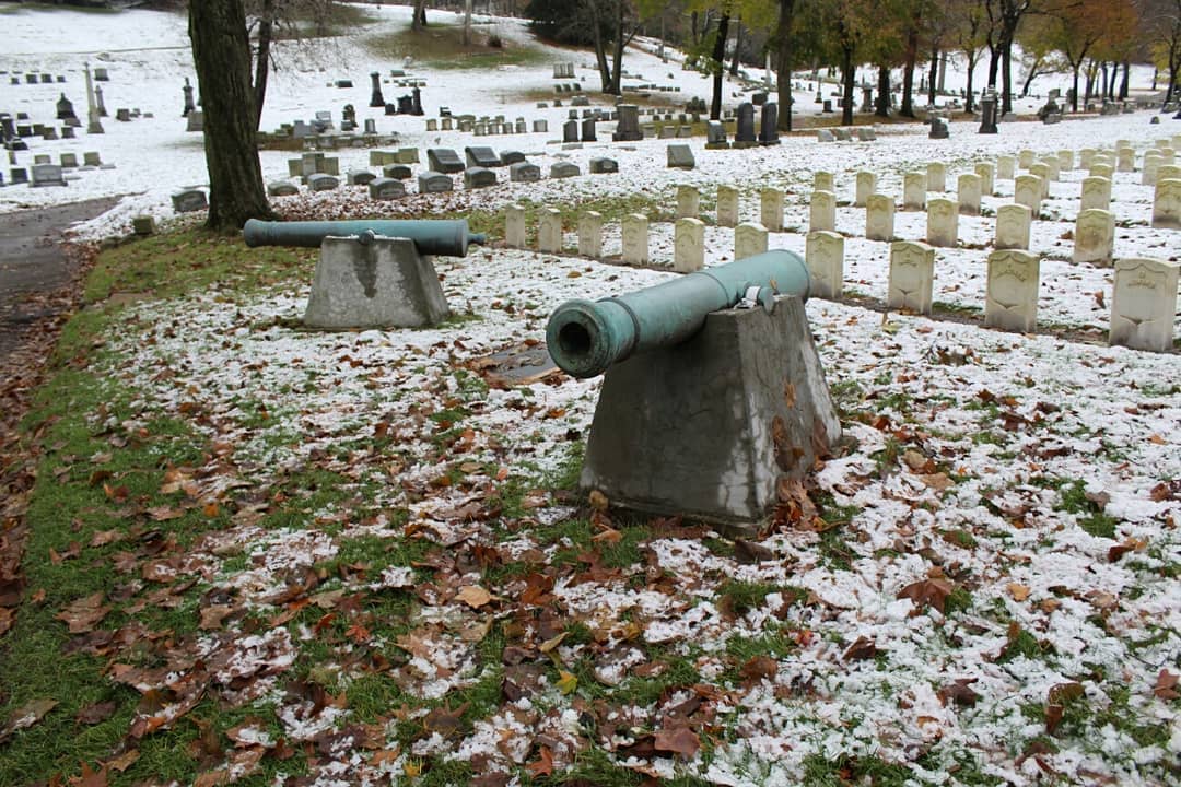 Bronze cannons