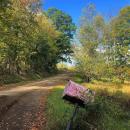 Elk Township