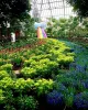 Phipps Conservatory and Botanical Gardens
