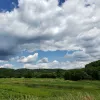  Greene County