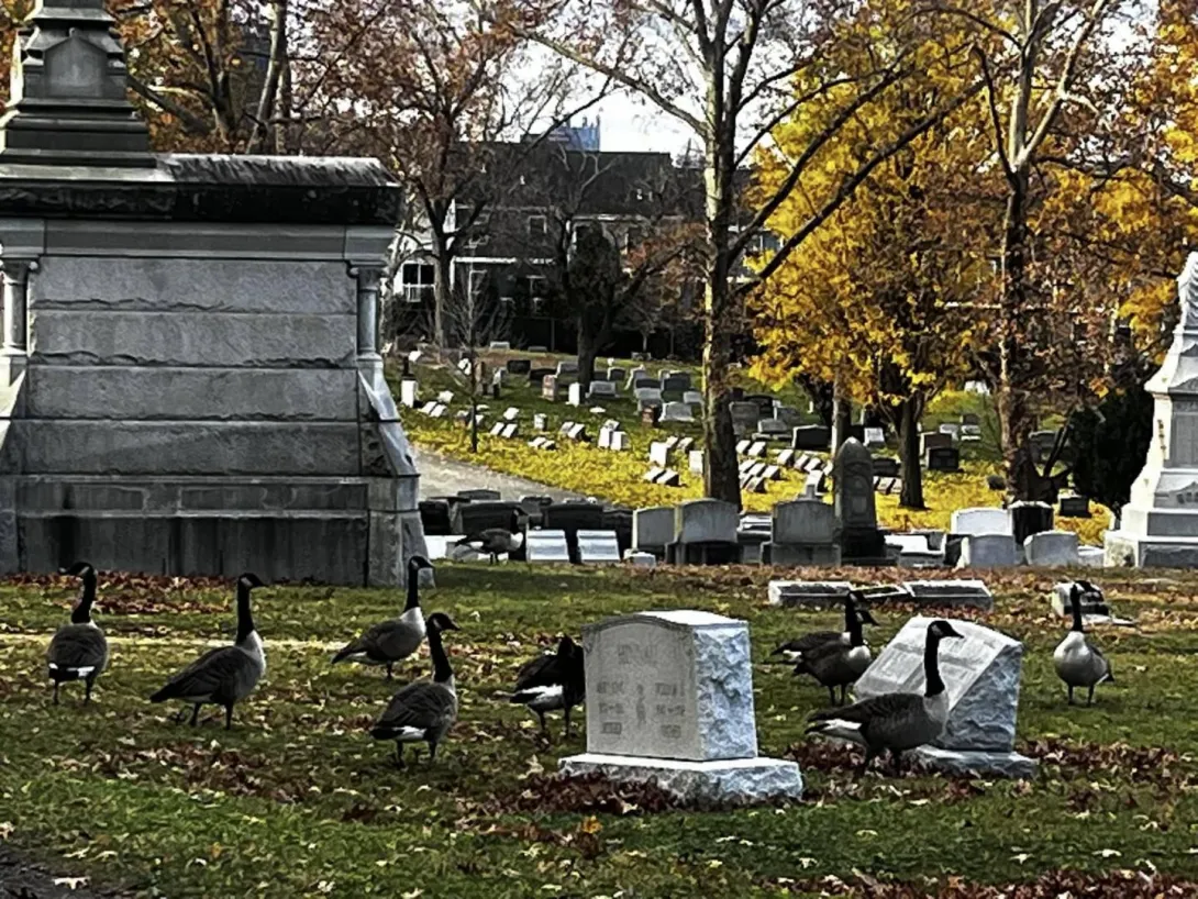 Allegheny Cemetery